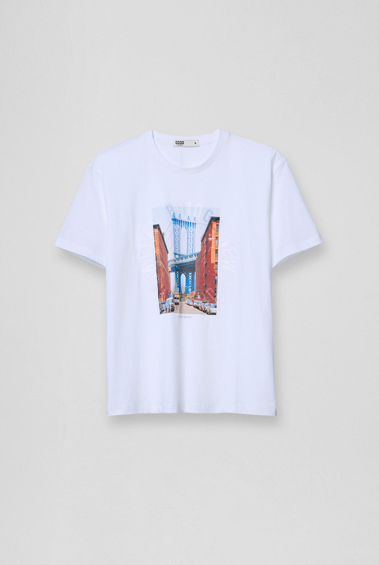 BROOKLYN BRIDGE OVERSIZED GRAPHIC TEE