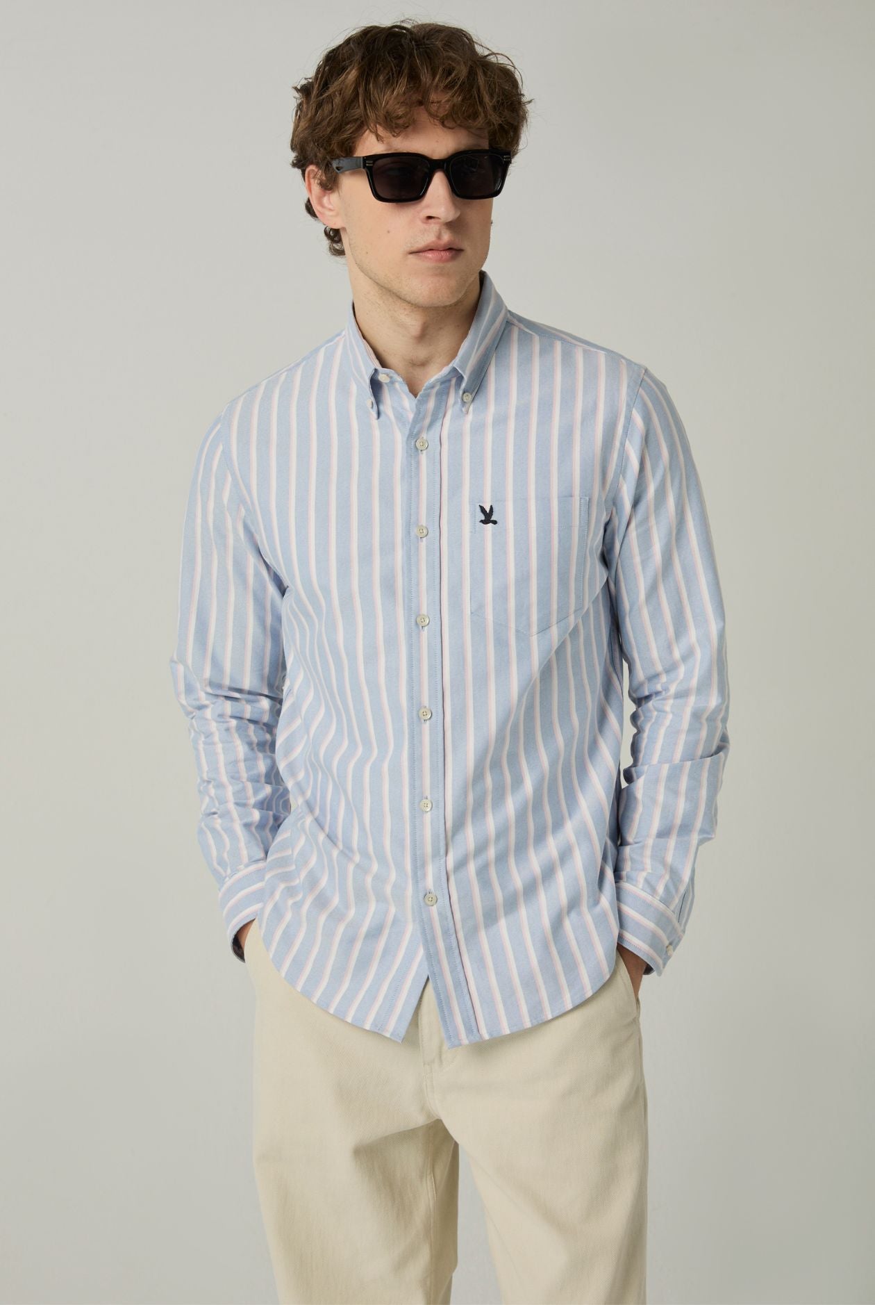 LONG SLEEVE STRIPED OXFORD SHIRT Purple / XXL