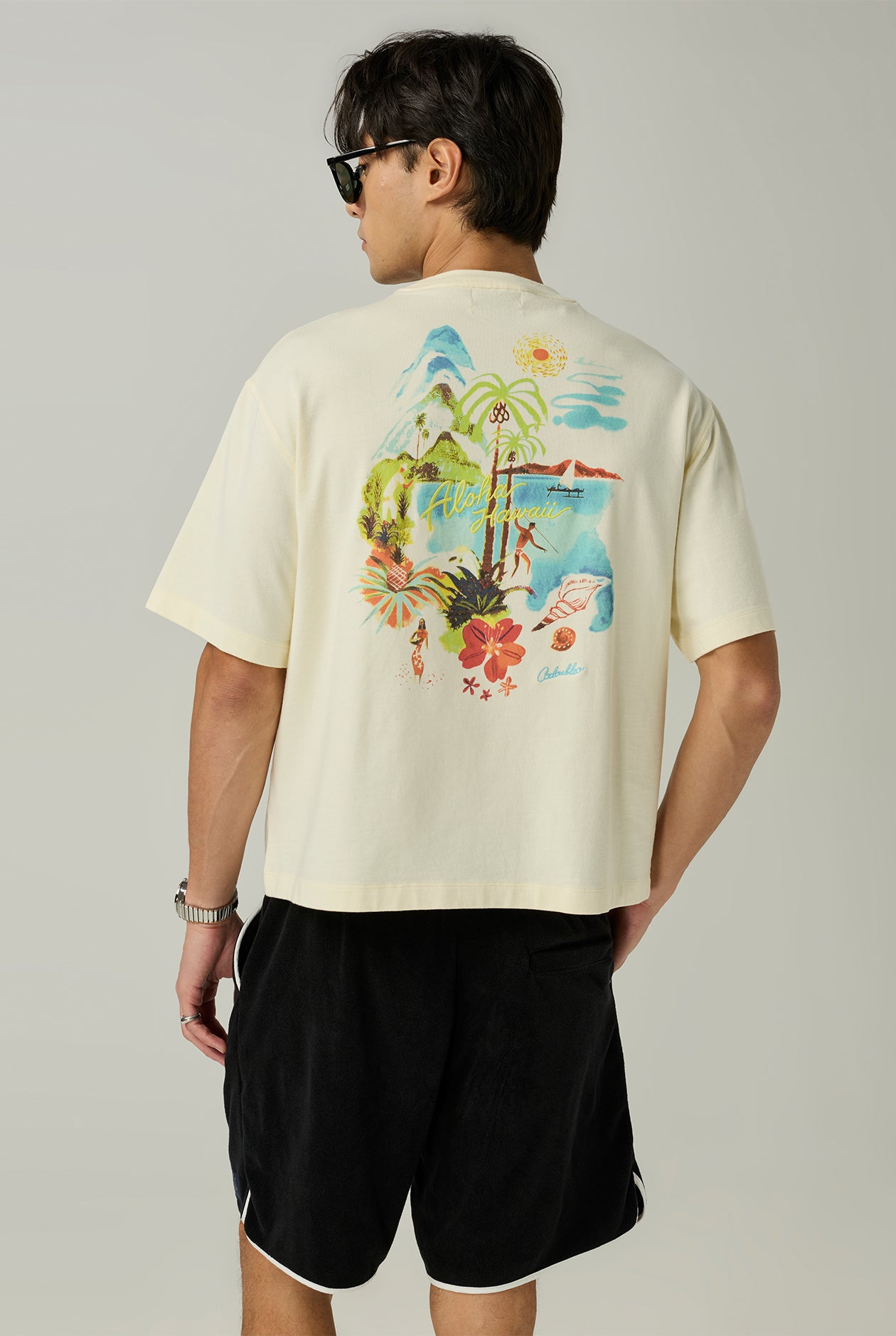 HAWAII BEACH BOXY TEE