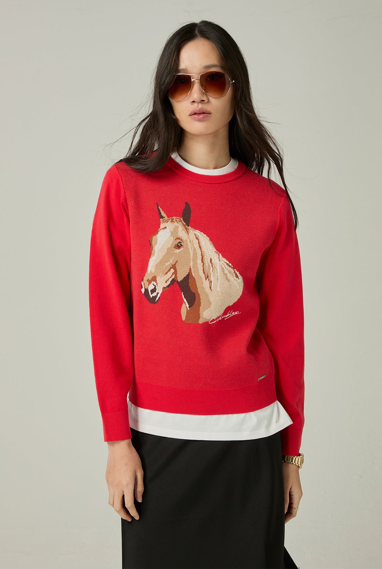 HORSE MOTIF SWEATER - CC Double O Official Store