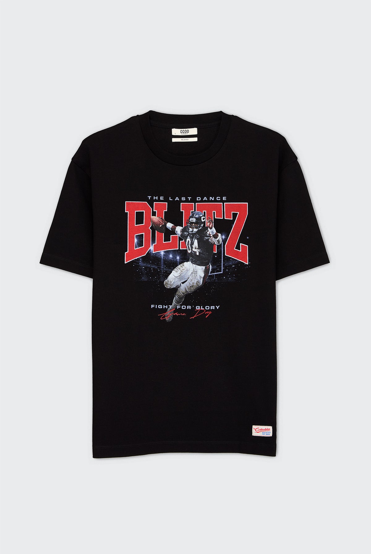 LONG SLEEVE GRAPHIC RAGLAN TEE