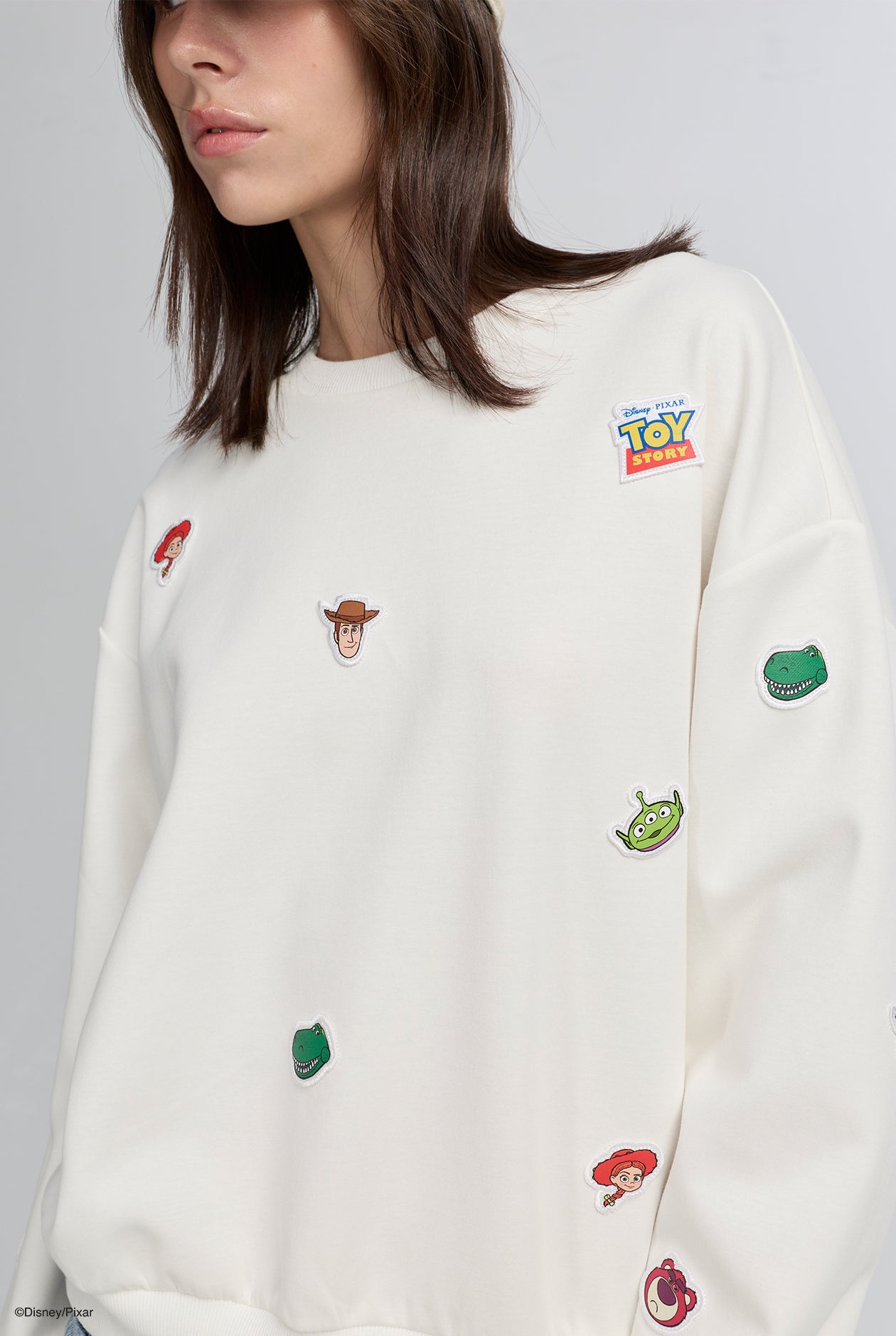 TOY STORY CHARACTER EMBROIDERY SWEATSHIRT