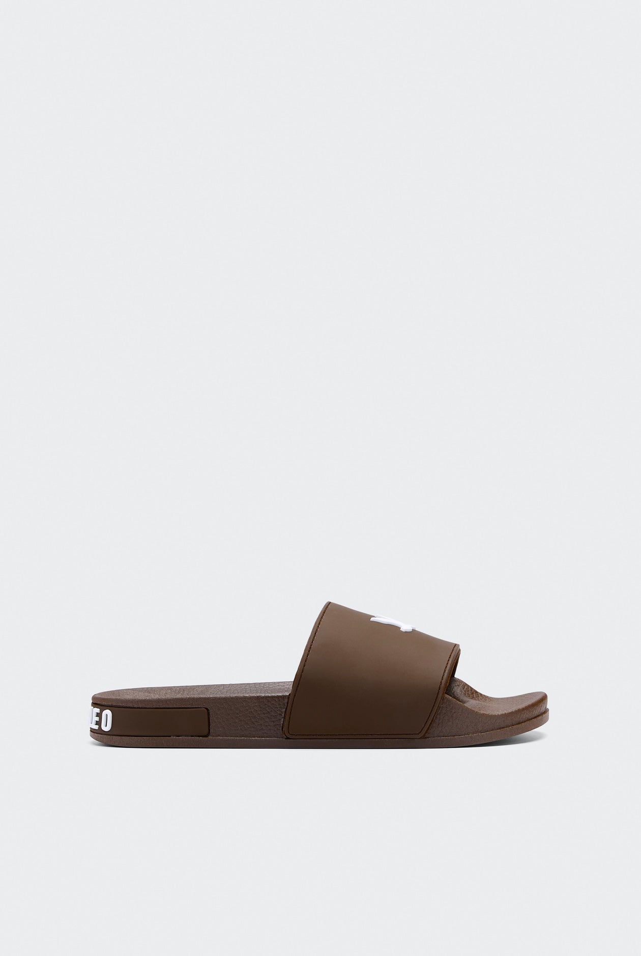 BIRD LOGO SLIDES