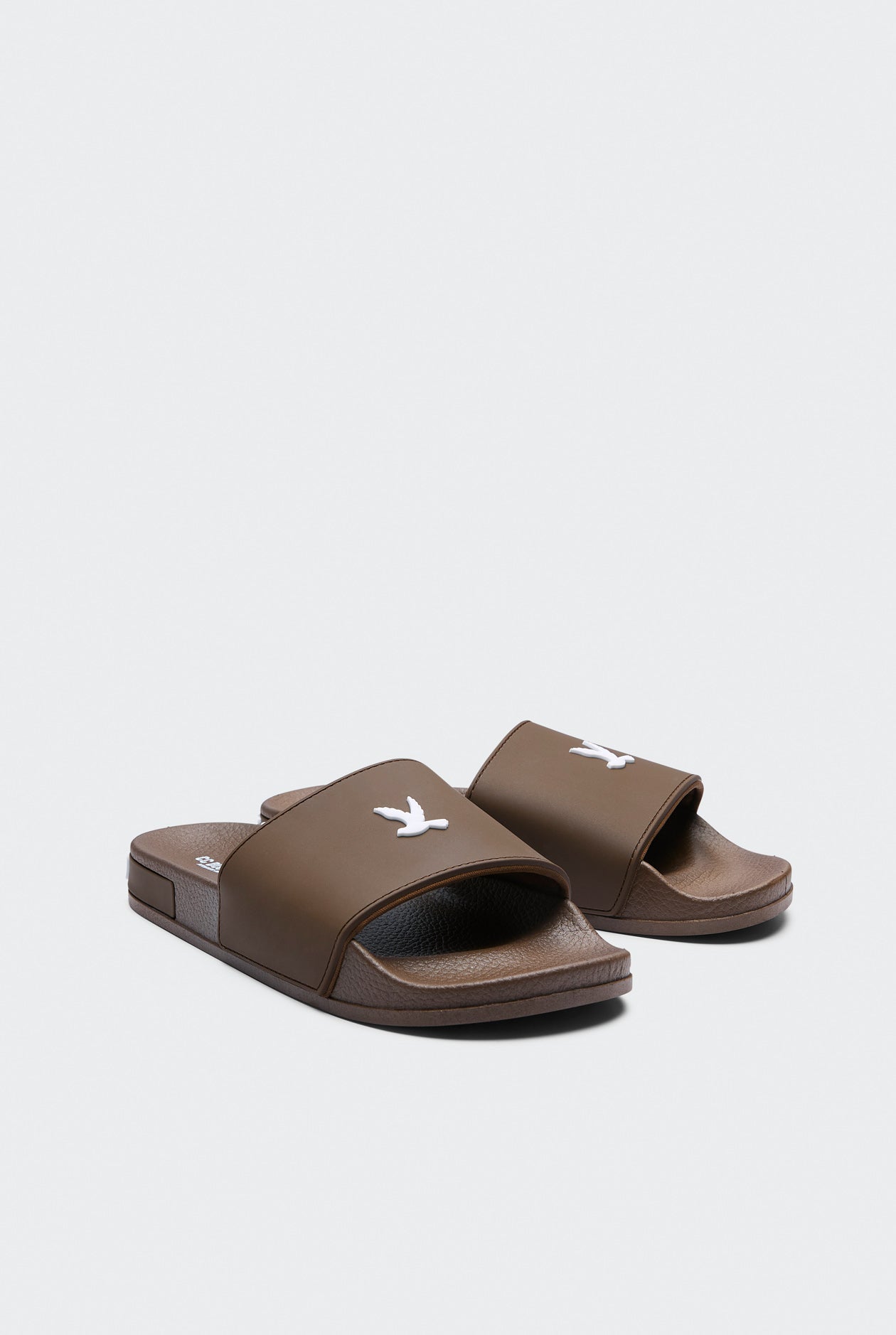 BIRD LOGO SLIDES
